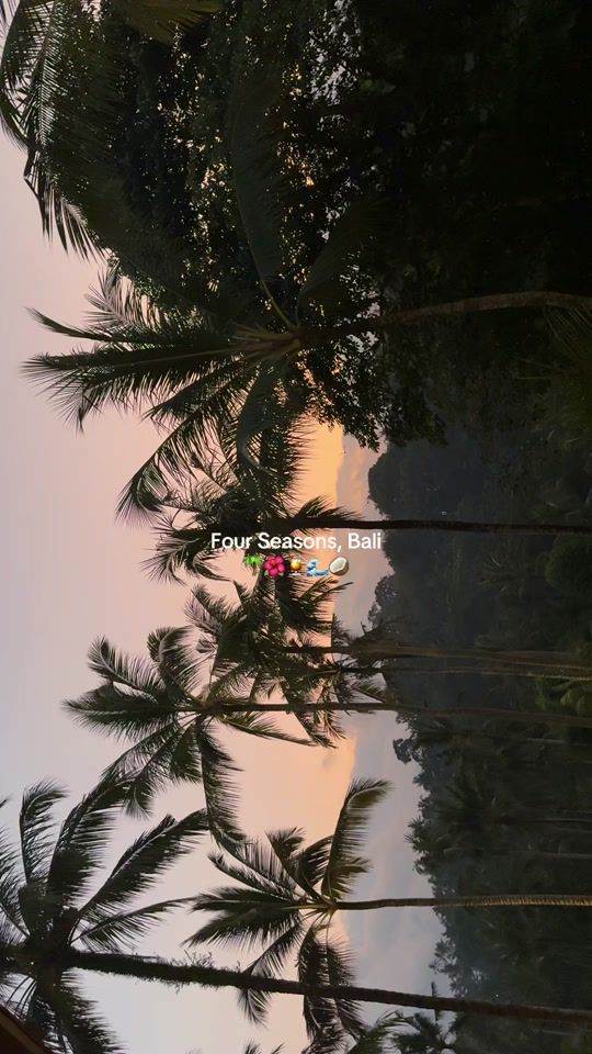 TikTok video thumbnail by dodoinbrussels