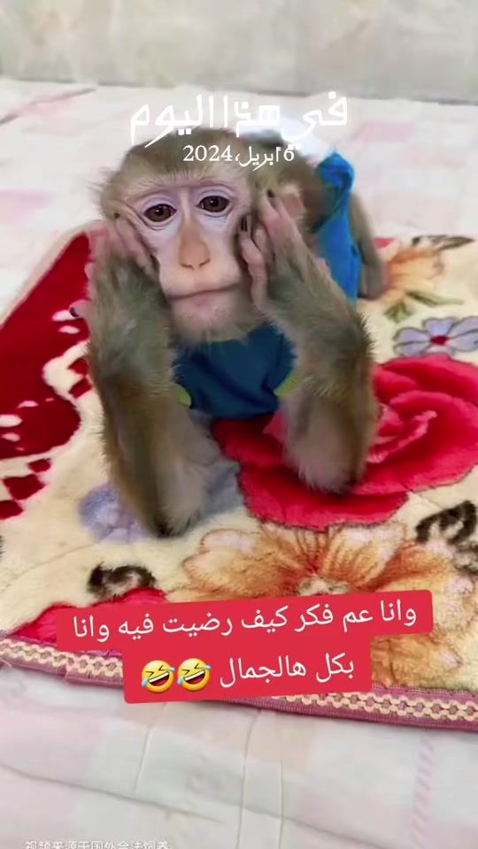 TikTok video thumbnail by limar833