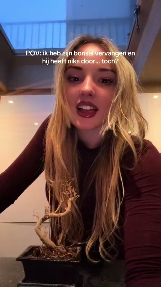 TikTok video thumbnail by lemayrivano