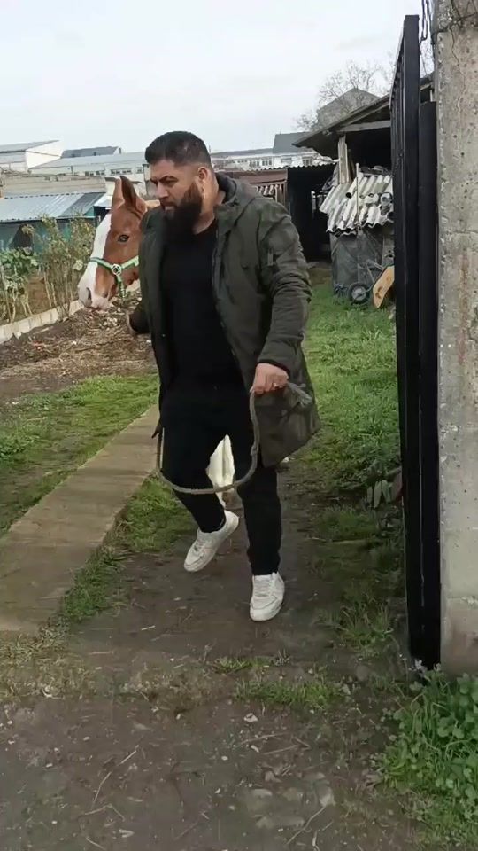 TikTok video thumbnail by pasion.por.los_caballos