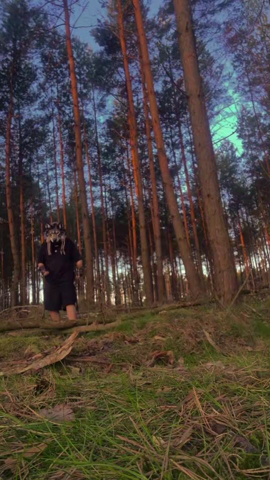 TikTok video thumbnail by wolf.spectrum