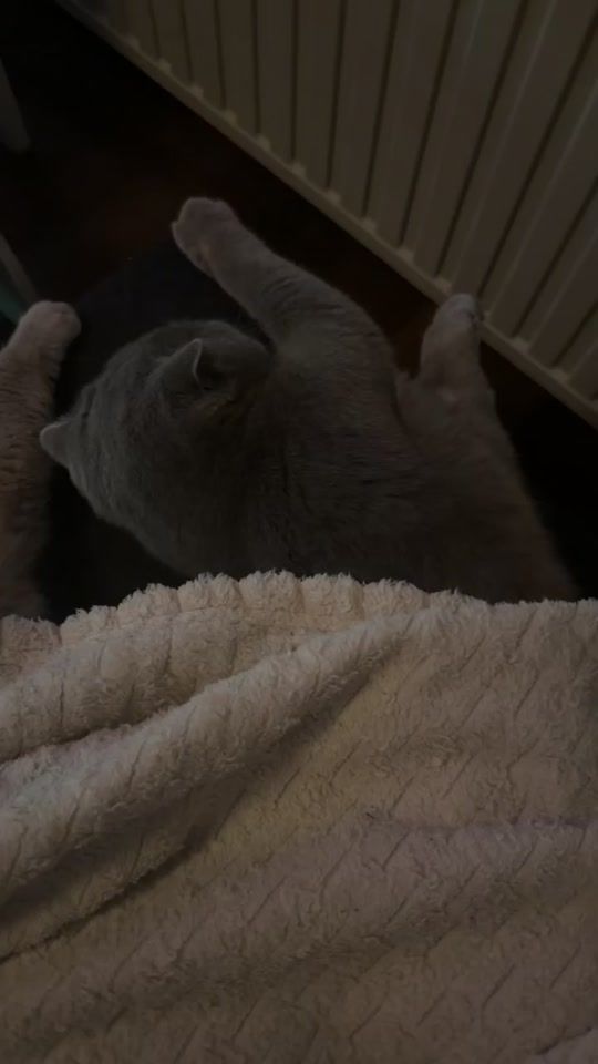 TikTok video thumbnail by coco69023