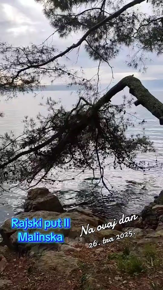 TikTok video thumbnail by zvonko600