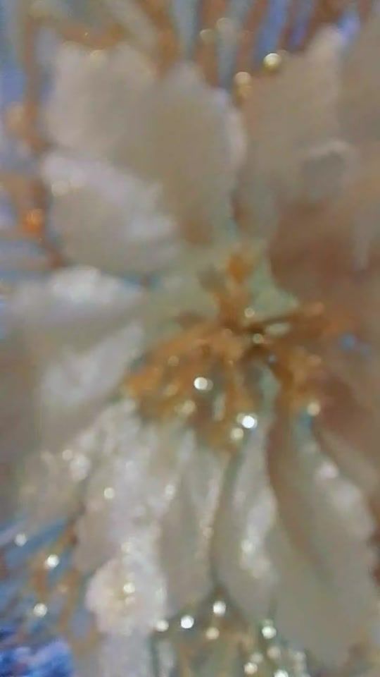 TikTok video thumbnail by lidiajaimejl