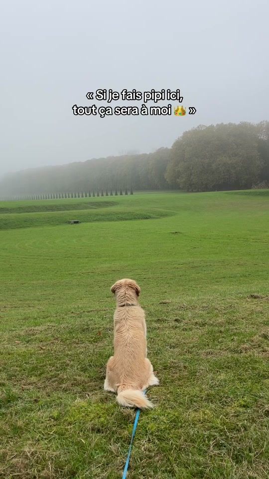 TikTok video thumbnail by malibuthegoldie