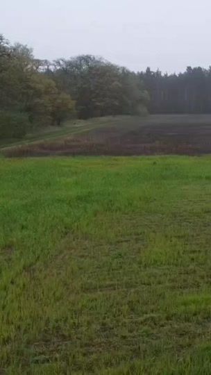 TikTok video thumbnail by dannyatwork1