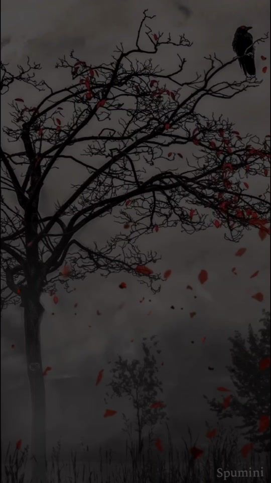 TikTok video thumbnail by sassi.writes5
