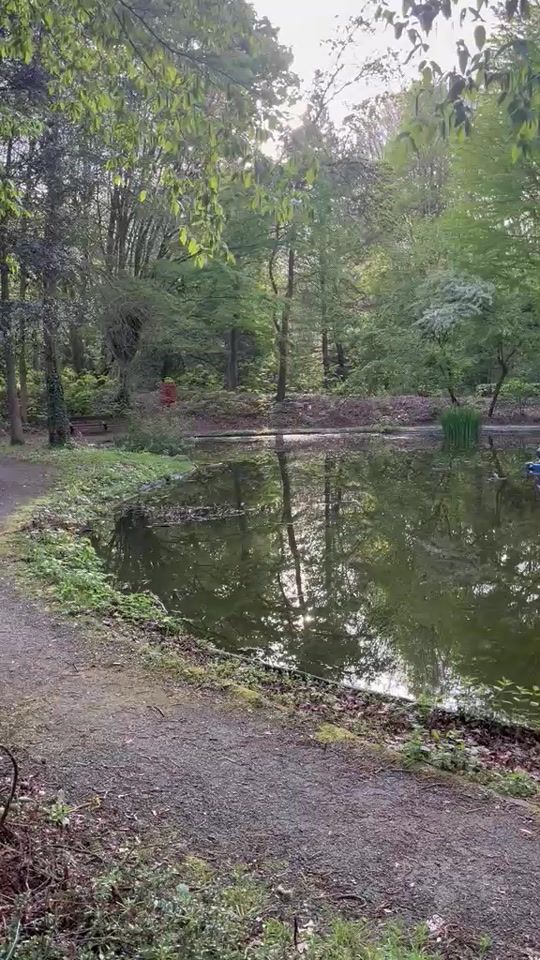 TikTok video thumbnail by nourfati78