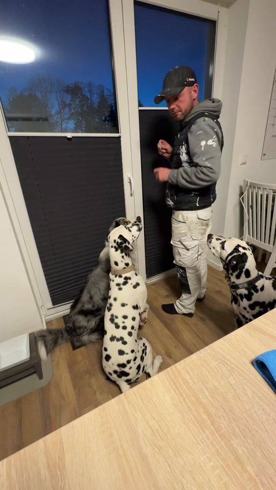 TikTok video thumbnail by crazy_cashdogs