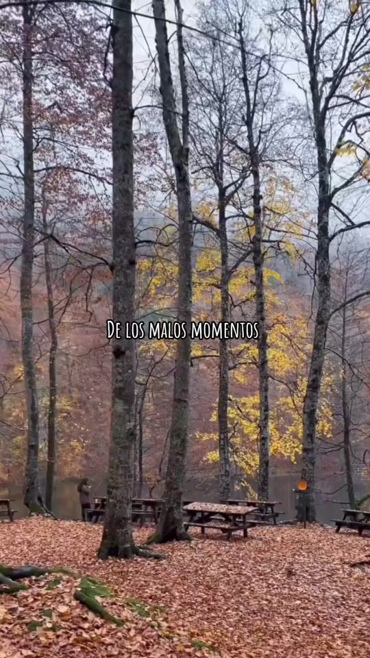 TikTok video thumbnail by ._delarosa_