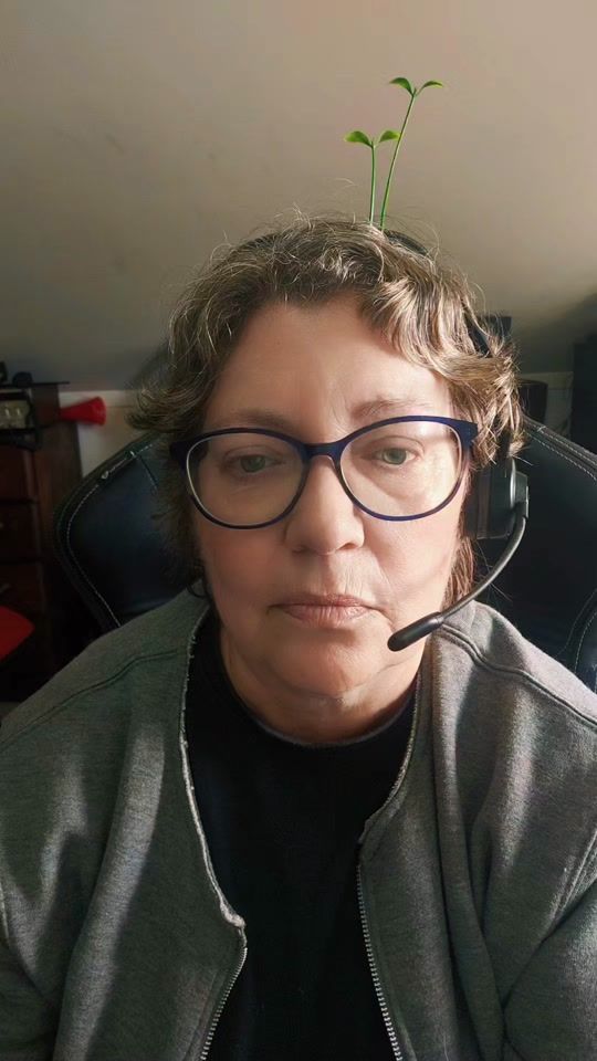 TikTok video thumbnail by just_boomer_things