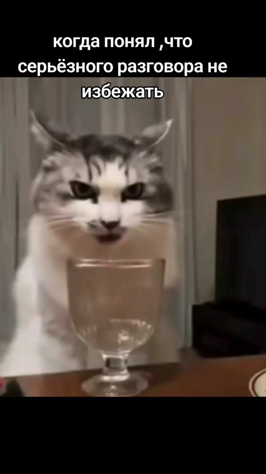 TikTok video thumbnail by natroixfun