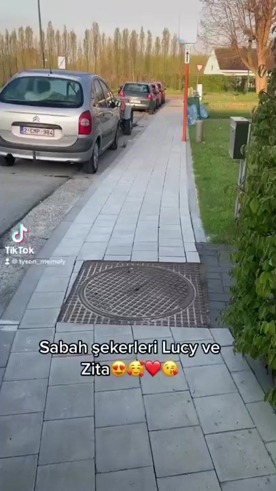 TikTok video thumbnail by tyson_memoly79