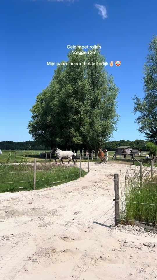 TikTok video thumbnail by juulgeerts