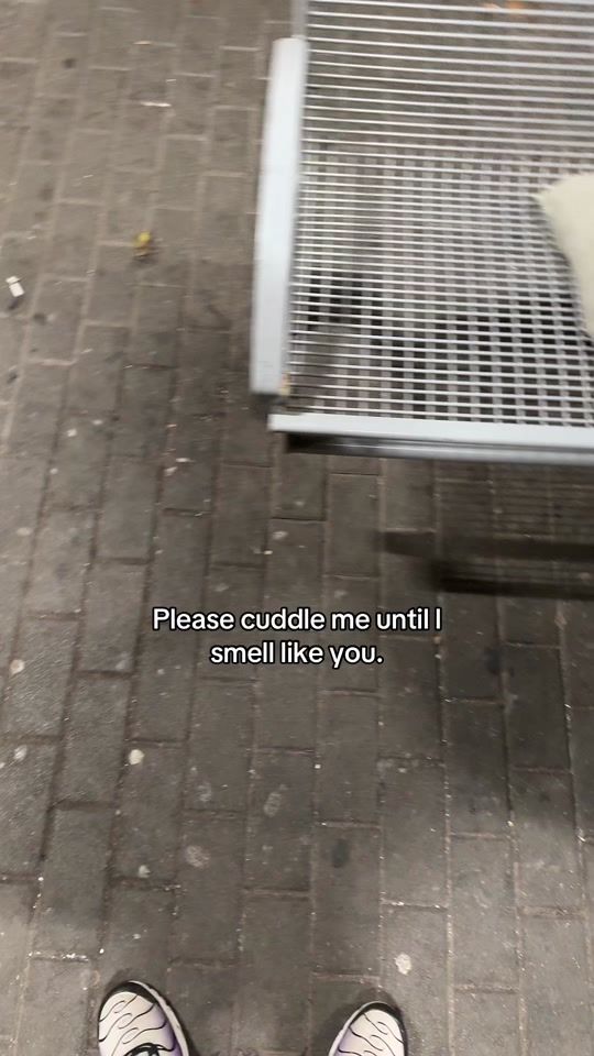 TikTok video thumbnail by enzorealshit