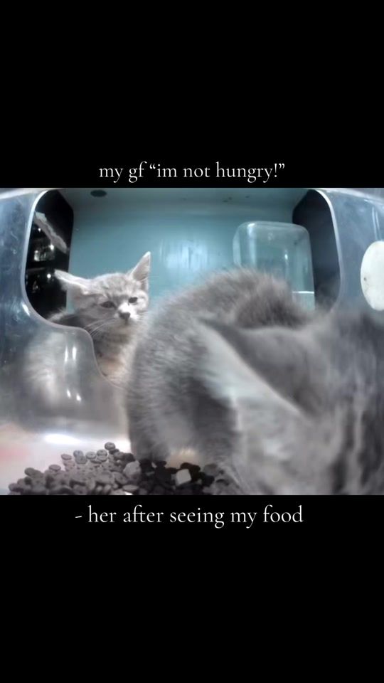 TikTok video thumbnail by jooooyie