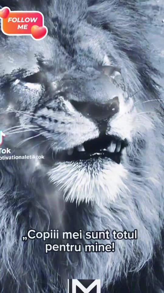 TikTok video thumbnail by elaroman6