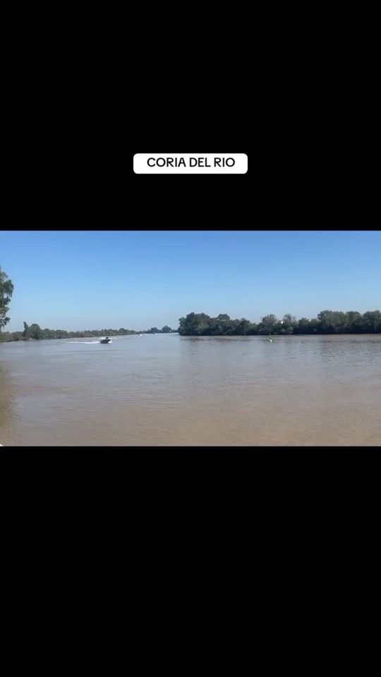 TikTok video thumbnail by manologonzaleslab