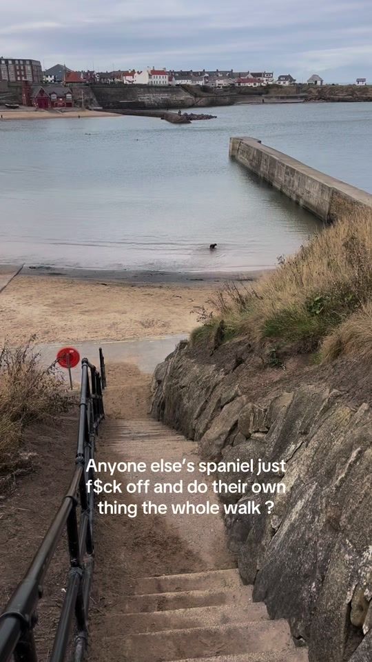 TikTok video thumbnail by murphyhepworth