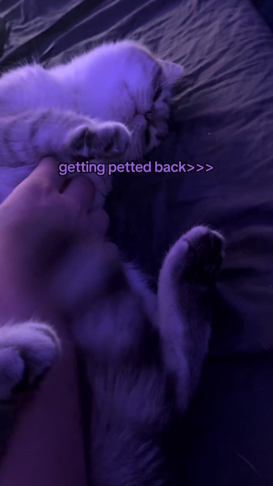 TikTok video thumbnail by cassiguess
