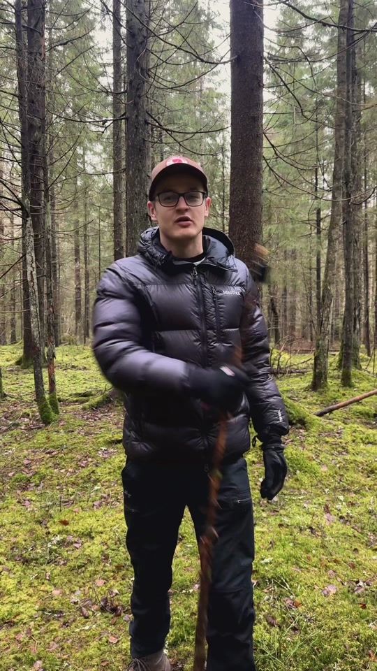 TikTok video thumbnail by nikon.eu