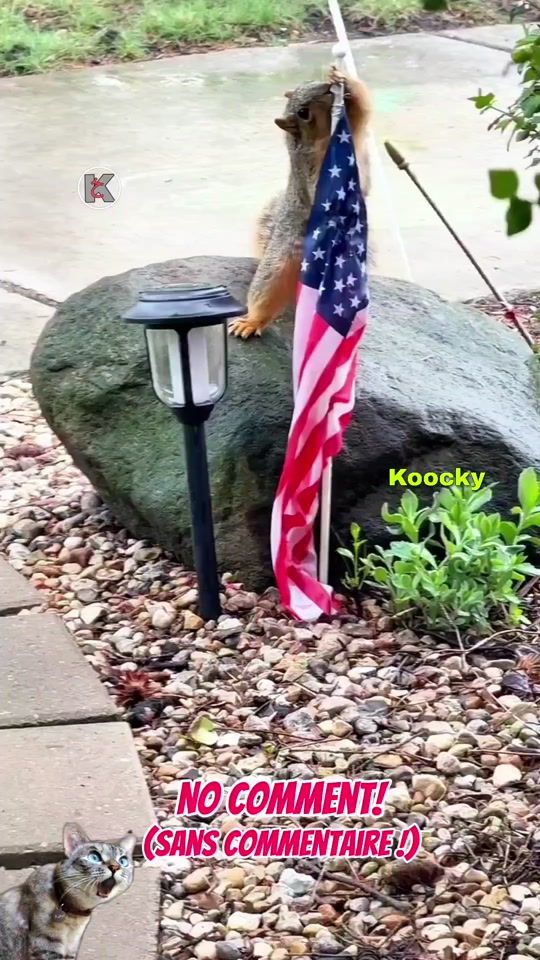 TikTok video thumbnail by koockykha