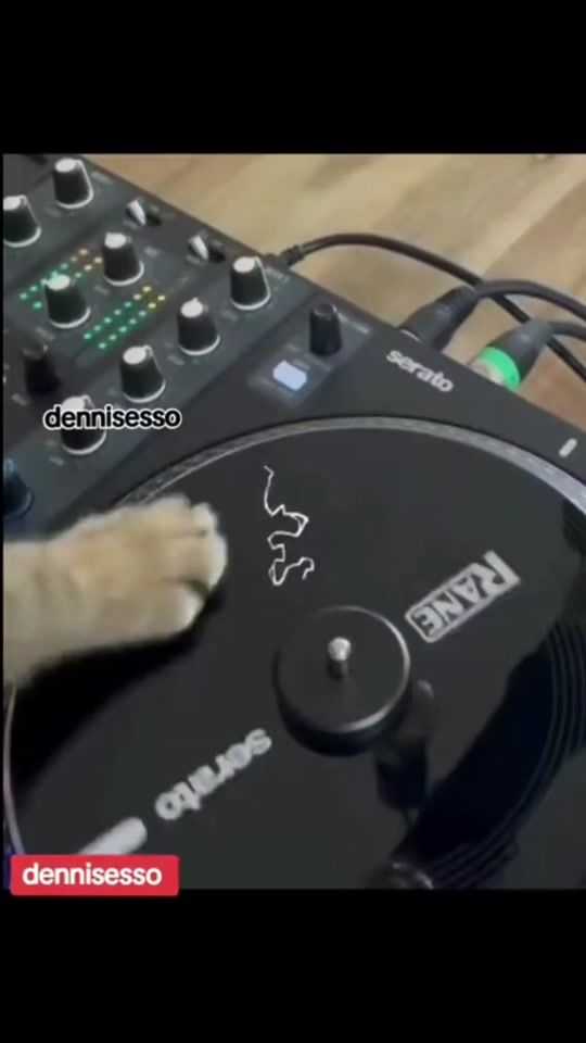 TikTok video thumbnail by dennisesso
