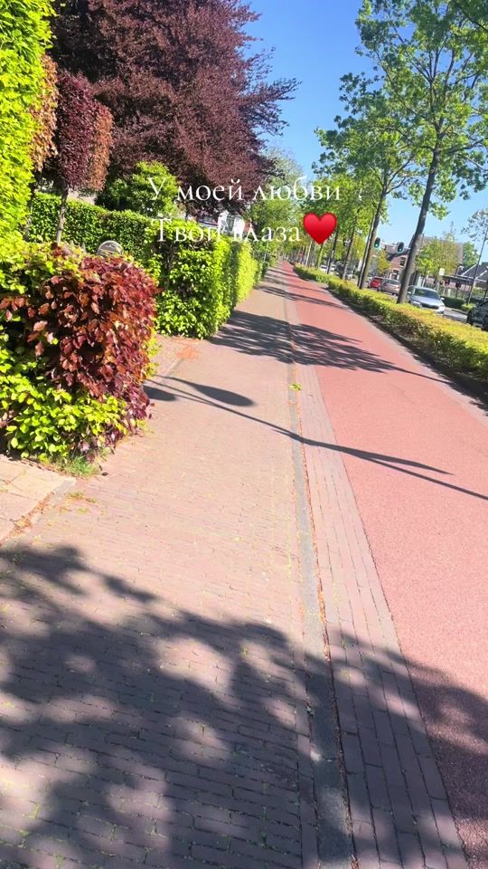 TikTok video thumbnail by ..adamant