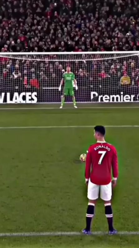 TikTok video thumbnail by leopessidogs