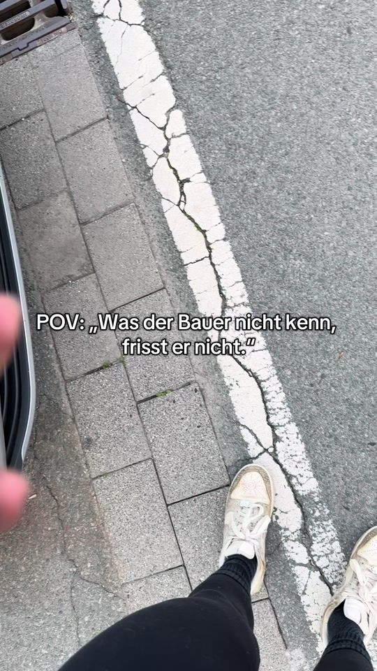 TikTok video thumbnail by elvis_und_sidney
