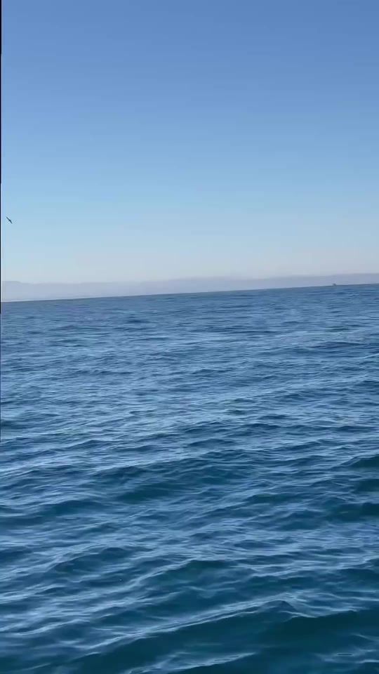 TikTok video thumbnail by xdeep_blue1