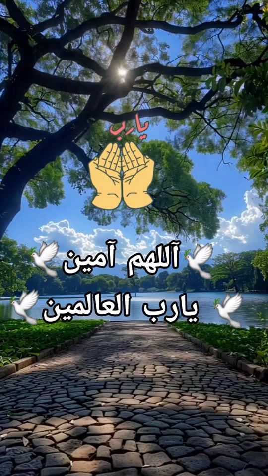 TikTok video thumbnail by facha_cuisne