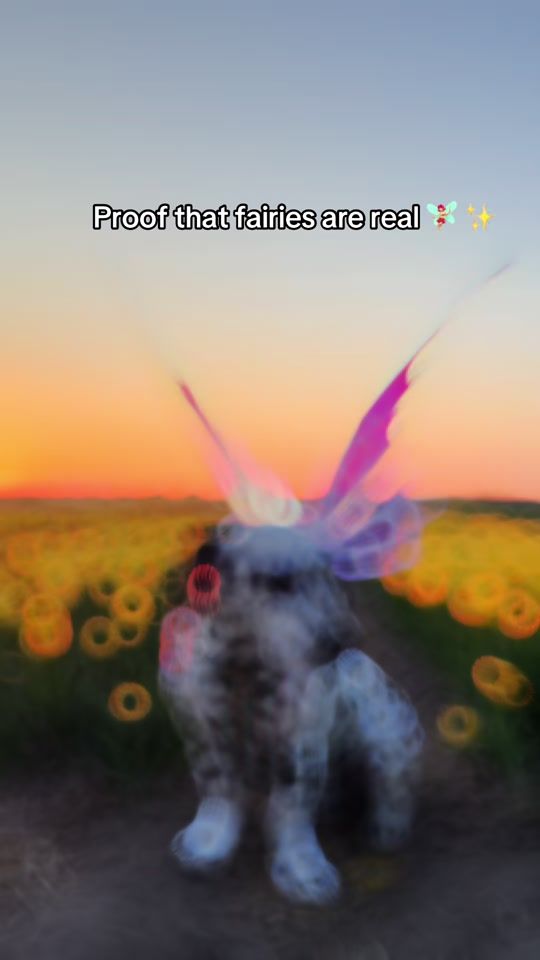 TikTok video thumbnail by dino.and.ruby