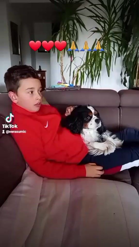 TikTok video thumbnail by verasumic