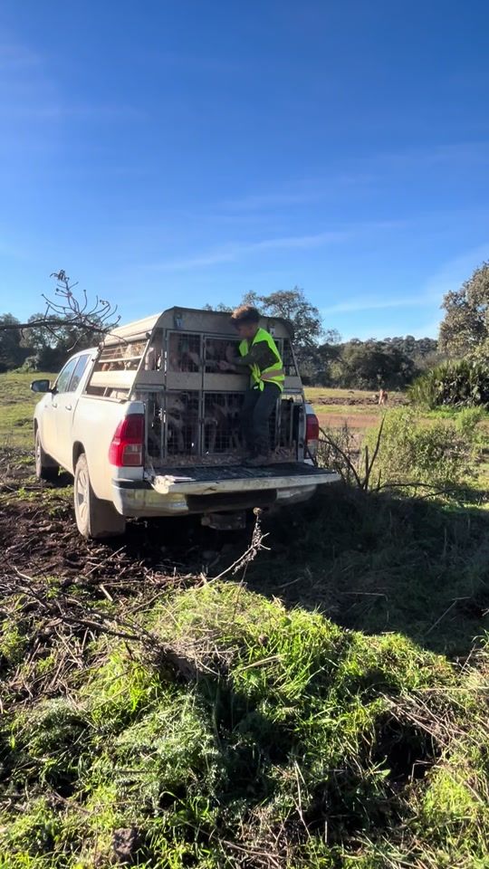 TikTok video thumbnail by andressherndz