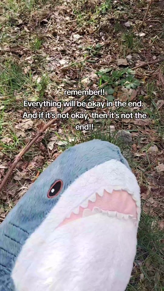TikTok video thumbnail by willy_theshark