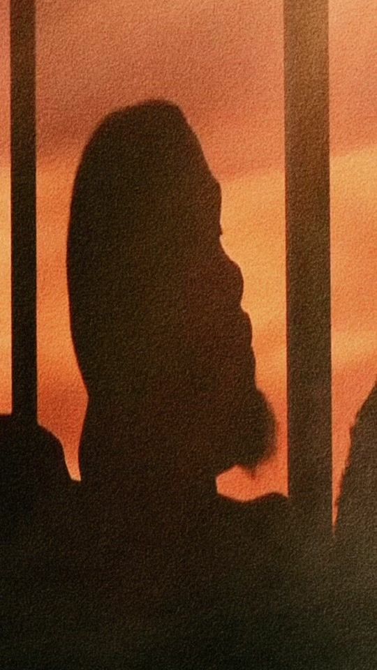 TikTok video thumbnail by peak.jpg