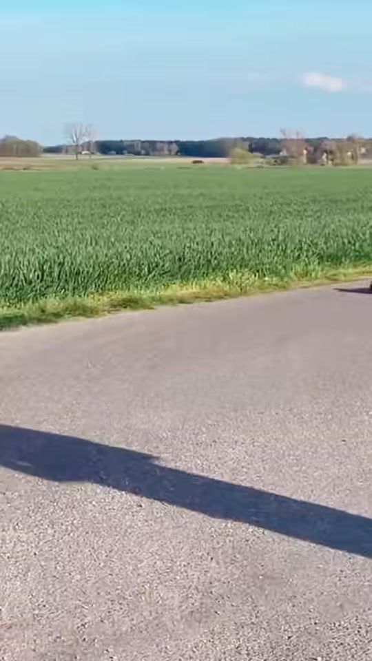 TikTok video thumbnail by rc.krul