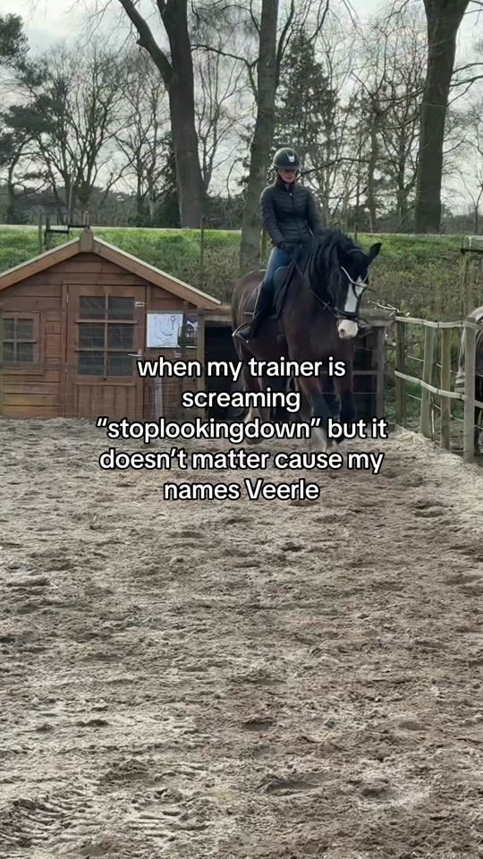 TikTok video thumbnail by veerlestofferhorses