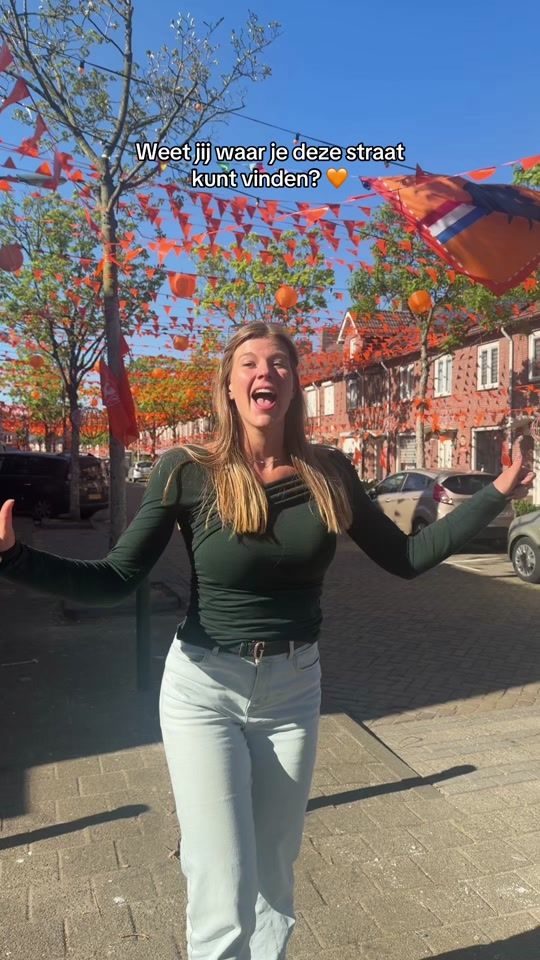 TikTok video thumbnail by xilsevisser