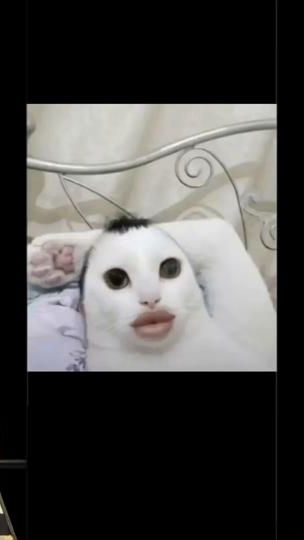 TikTok video thumbnail by _tomatona_