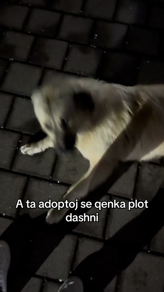 TikTok video thumbnail by visari78