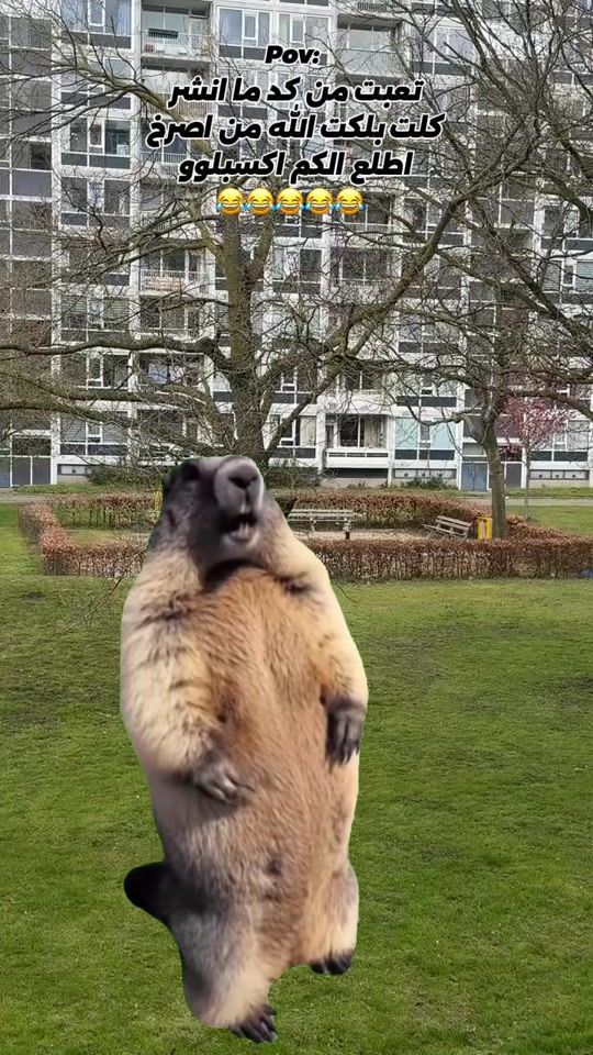 TikTok video thumbnail by .z.iq0