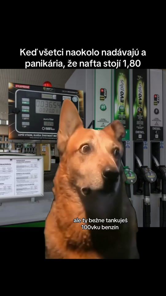 TikTok video thumbnail by simasedlak