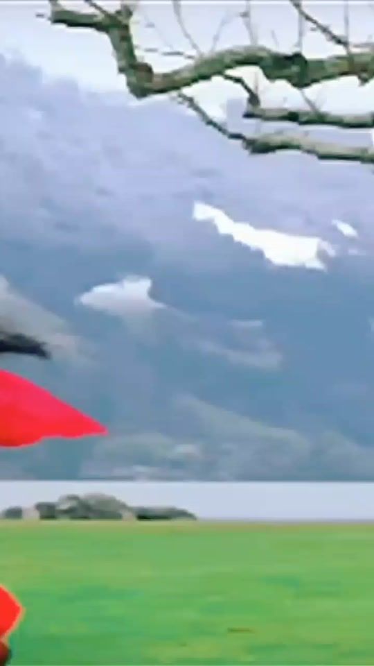 TikTok video thumbnail by mukhtarr44