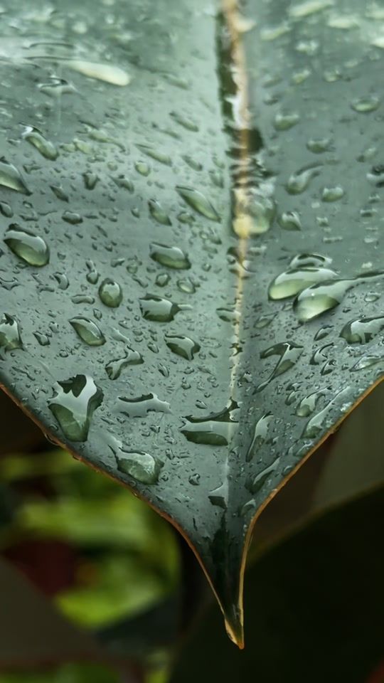 TikTok video thumbnail by selin___93