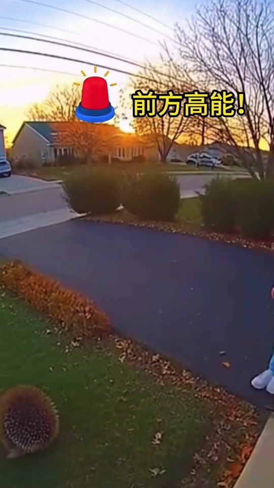 TikTok video thumbnail by sacai35