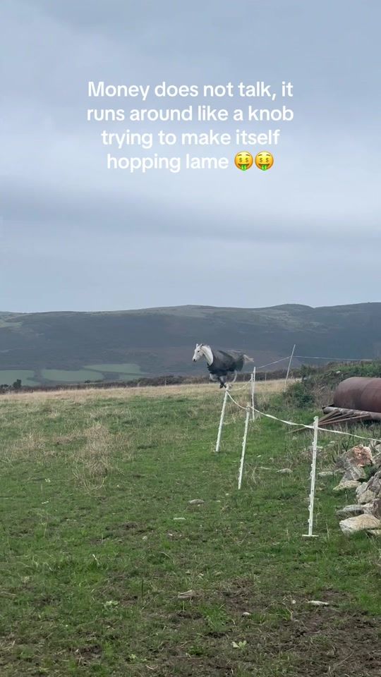 TikTok video thumbnail by issy.eventingg