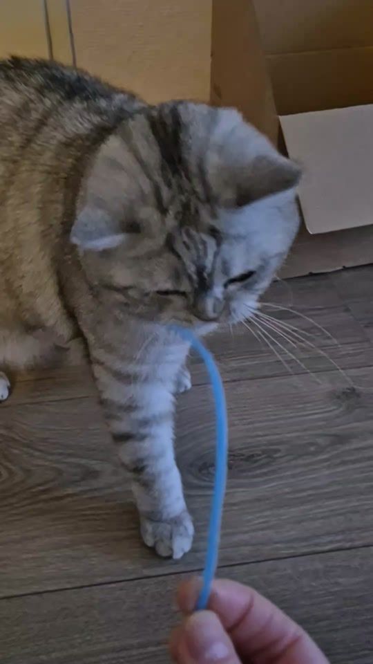 TikTok video thumbnail by snakjes