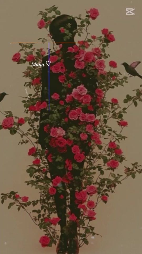 TikTok video thumbnail by aishabutt62